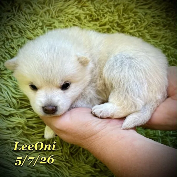 05-07 z leeoni 9adf6c8a-287a-49f4-9fde-277f66ab2ccc.jfif