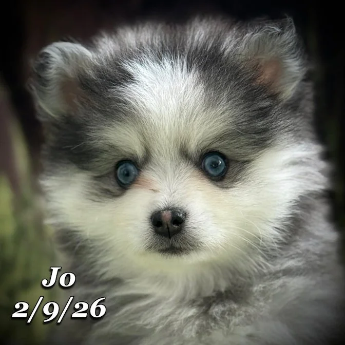 02-09 s jo b302a084-521e-4539-9f33-6e8e3890adf1.jfif