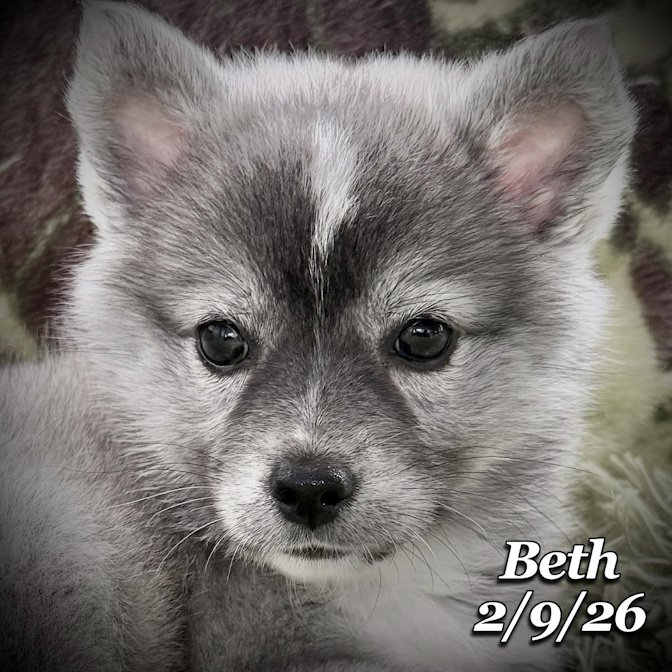 02-09 s beth 436d0878-c2d3-440a-a1d9-eb8be5a7b3e1.jfif