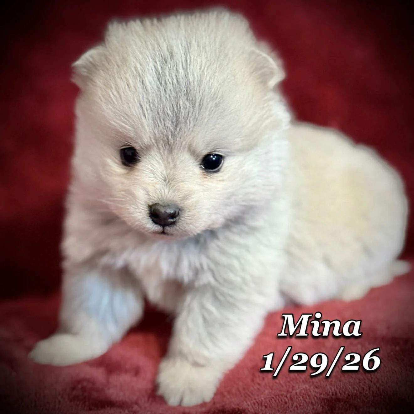 01-29 mina 05c5b6d8-6b7c-4498-8e17-5a5a02dc38bd.jfif