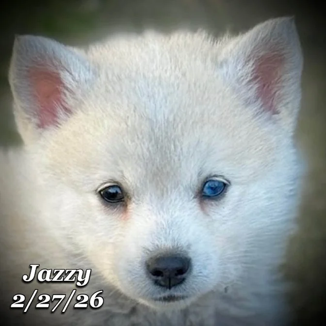 02-27 j jazzy 53364bb9-ed9a-4525-90bf-dedd90c8cdb3.jfif