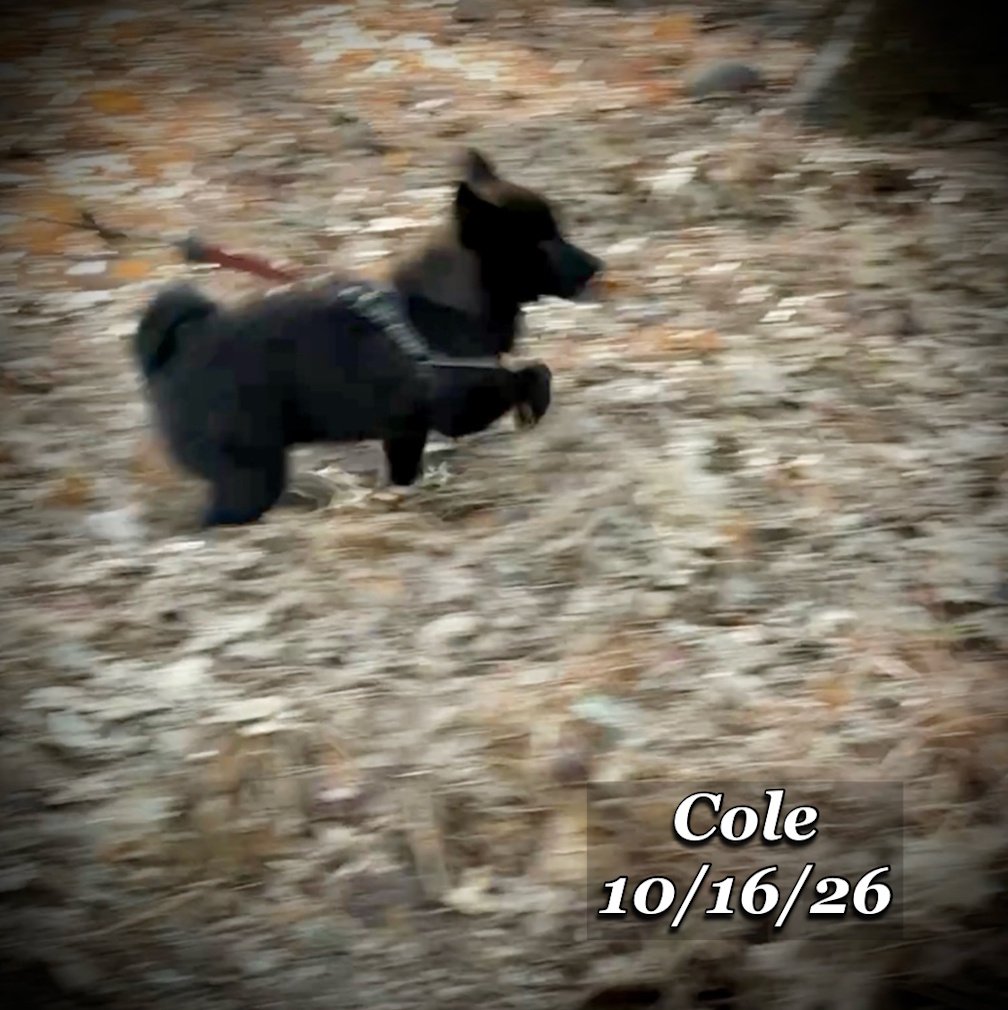 10-16 cole 02.jpg