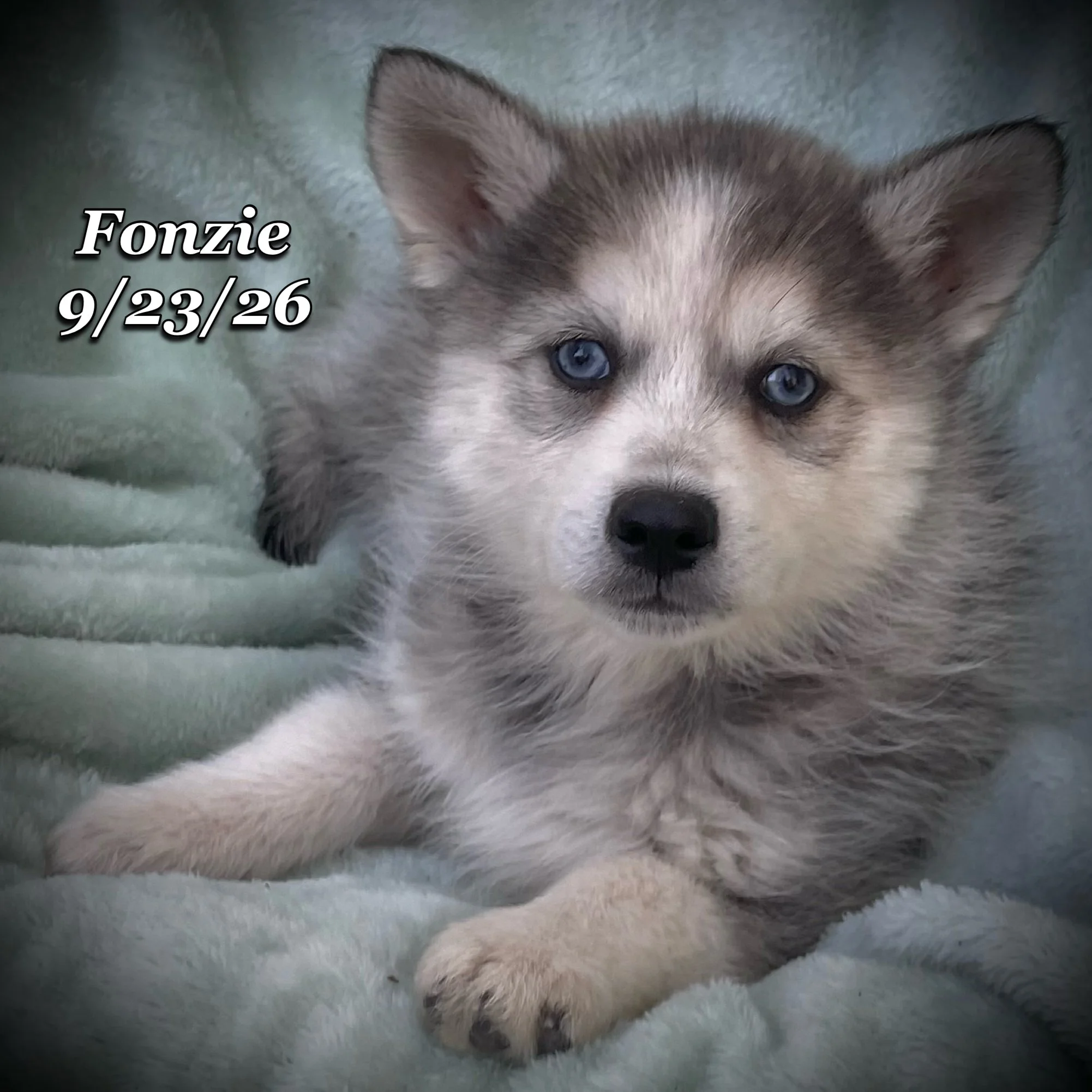 09-23 d fonzie phonto 62.JPG