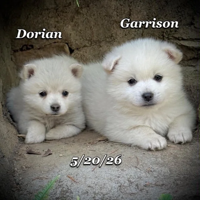 05-20 z garrison 7cb5b89c-8fb7-4836-b683-24ccf5ad8c2c.jfif