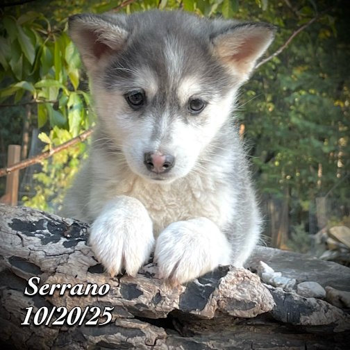 10-20 z serrano phonto 101.JPG