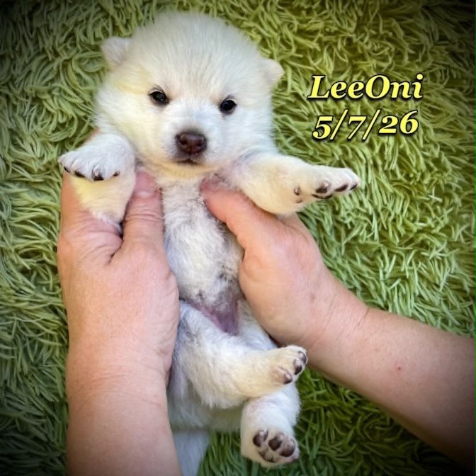 05-07 z leeoni 9afde6a7-b326-4a5a-8f60-b01347ee9eee.jfif
