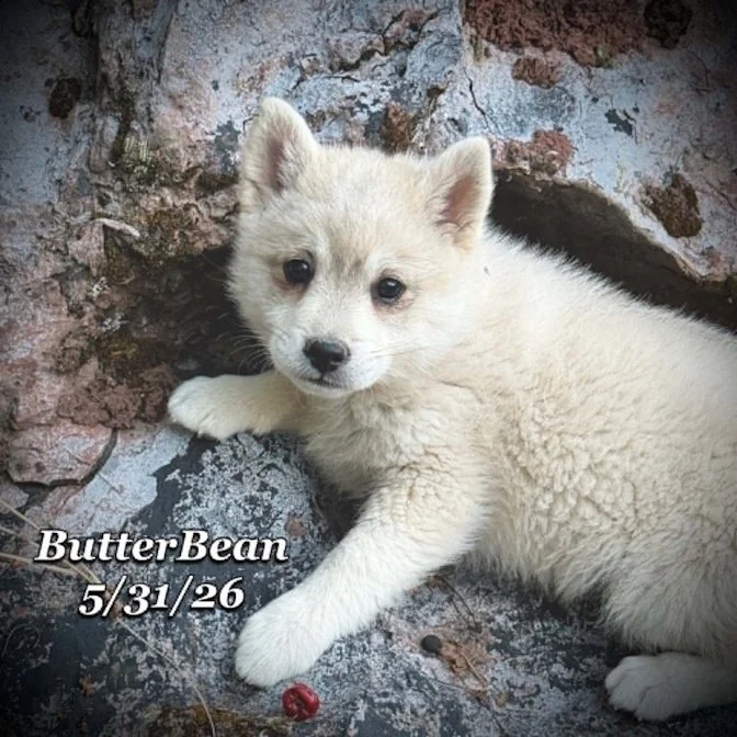 05-31 j butter a0762cdd-e038-47a8-a774-b93eadf78e6f.jpg