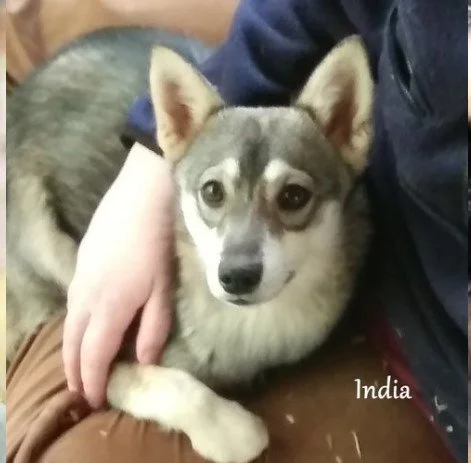 0-india Screenshot 2024-09-20 135930.jpg