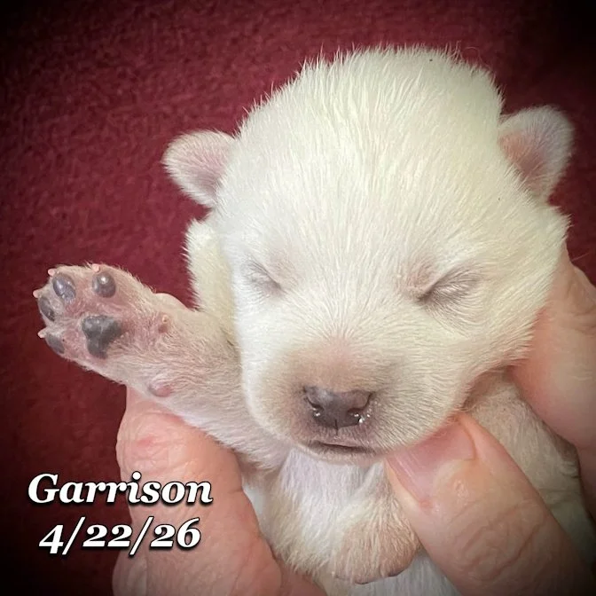 04-22 z garrison 7fe6e8bf-06ee-4ed3-a511-d3aa4b0ddb98.jfif