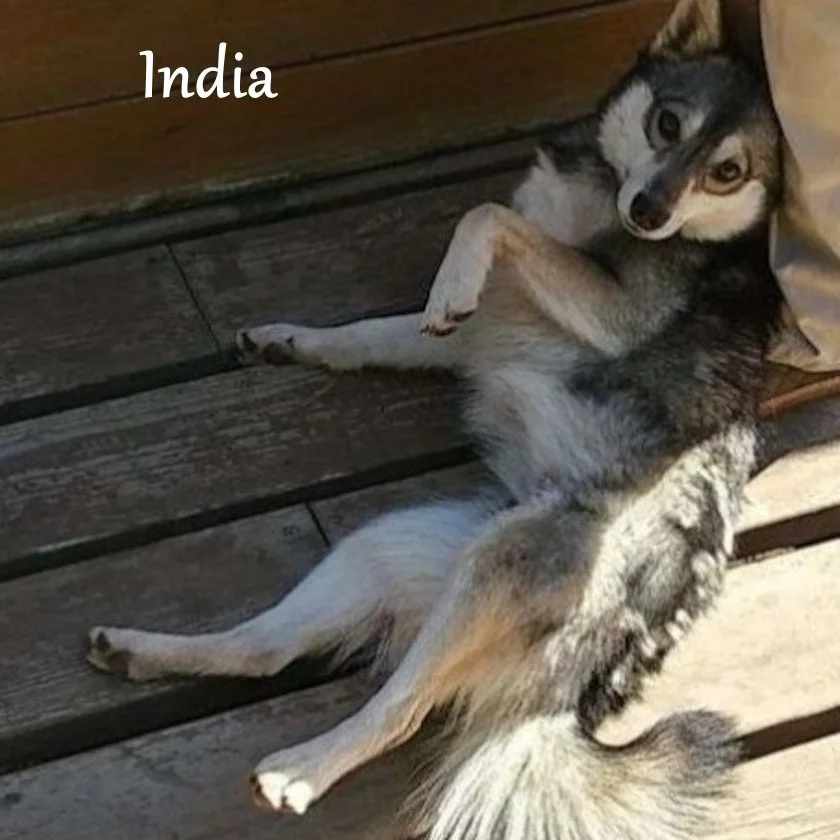 0- india Screenshot 2024-09-20 140056.jpg