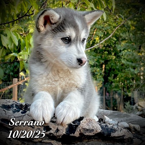 10-20 z serrano phonto 106.JPG