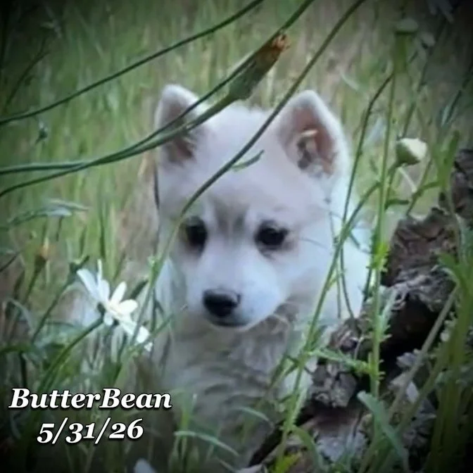05-31 j butter d637202d-9b1d-4738-8001-88bd5663b7a7.jpg