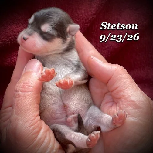 09-23 stetson 09.jpg