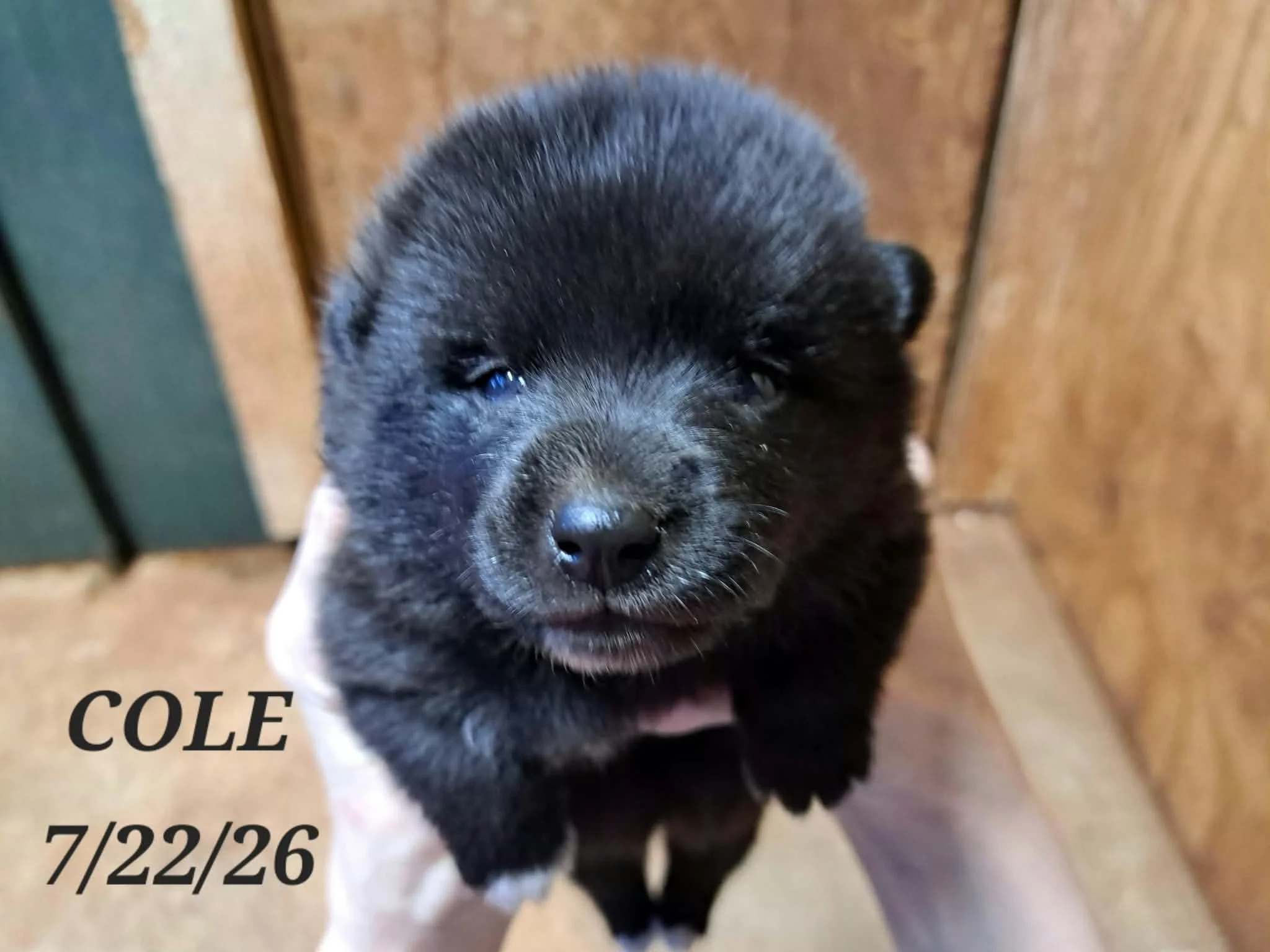07-22 i cole 02f2a818-ebbd-498e-9b7d-5a356927872e.jfif