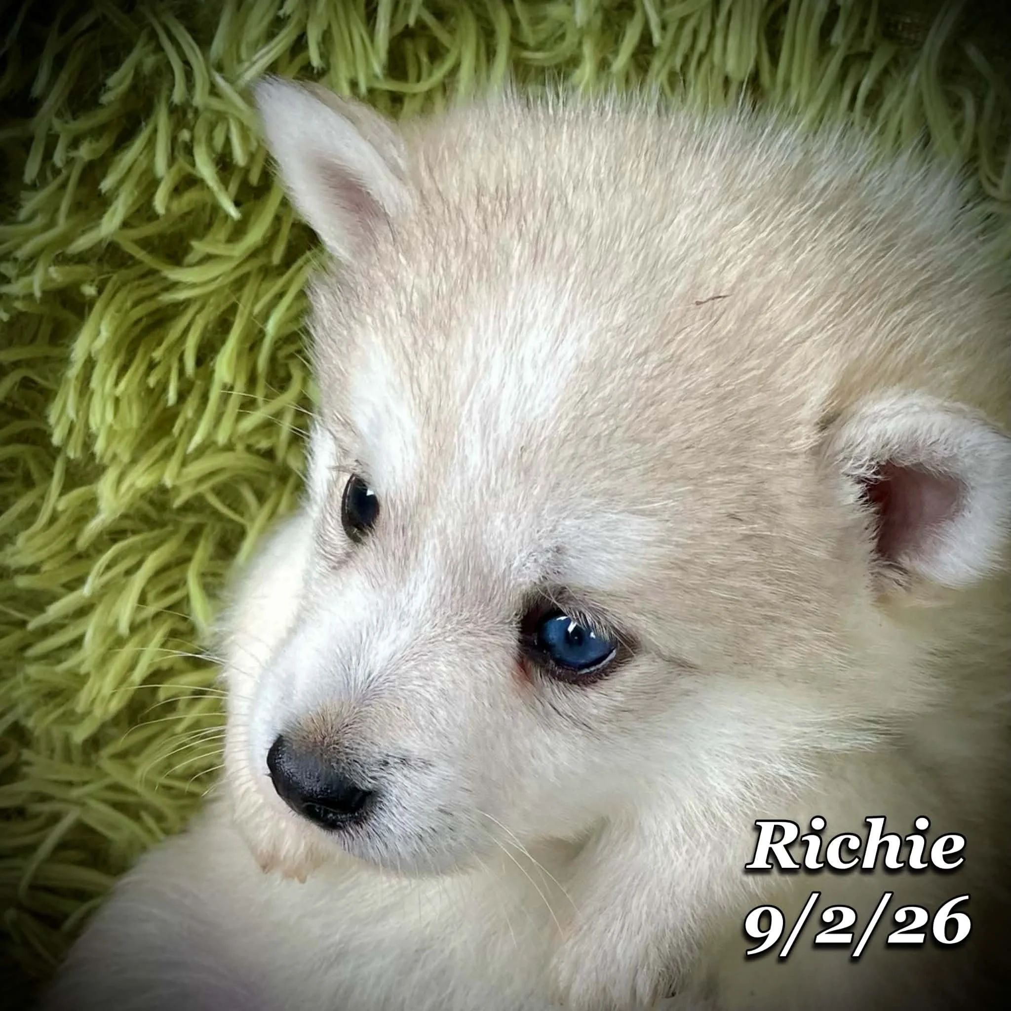 09-02 richie 6a224350-b416-499c-9d8f-1d1fe31982e0.jfif