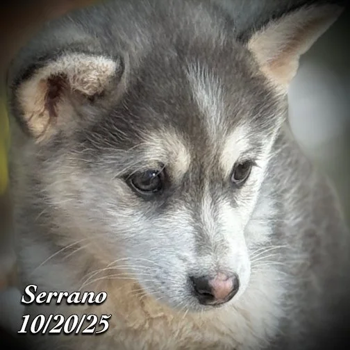 10-20 z serrano phonto 100.JPG