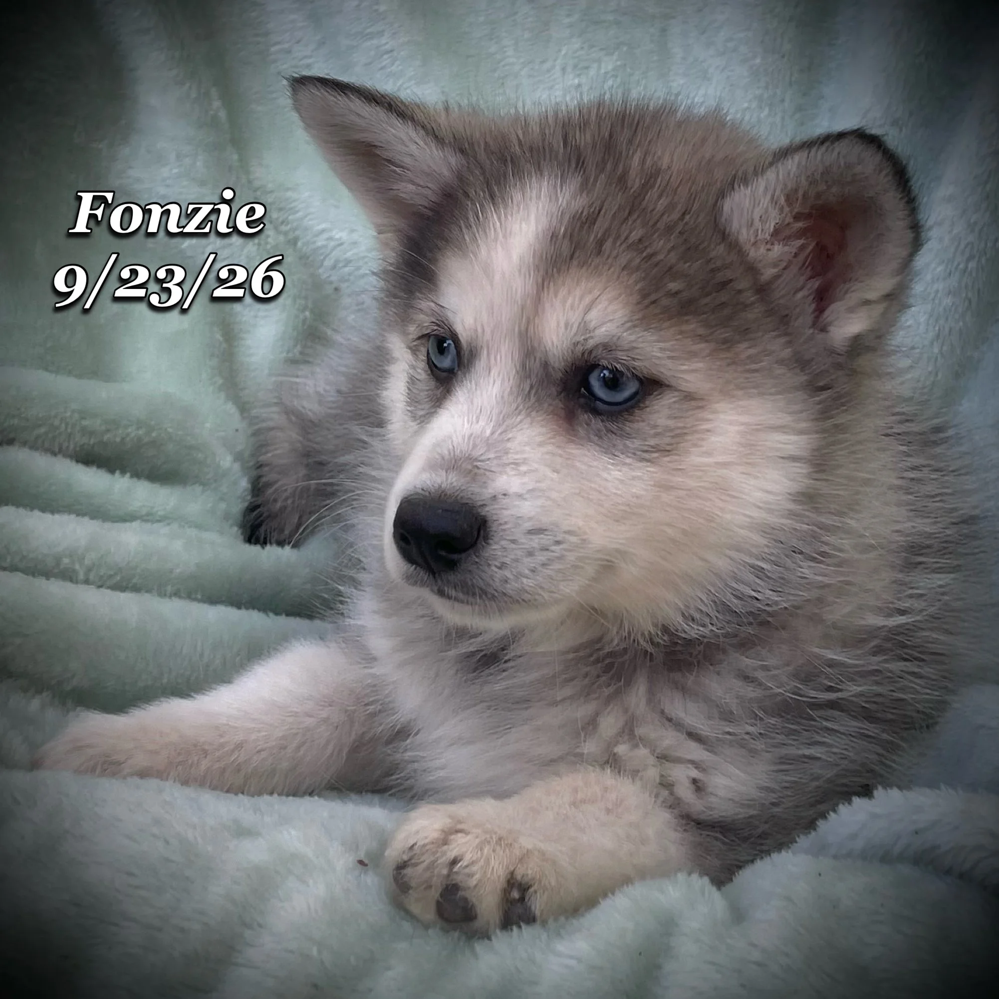 09-23 d fonzie phonto 65.JPG