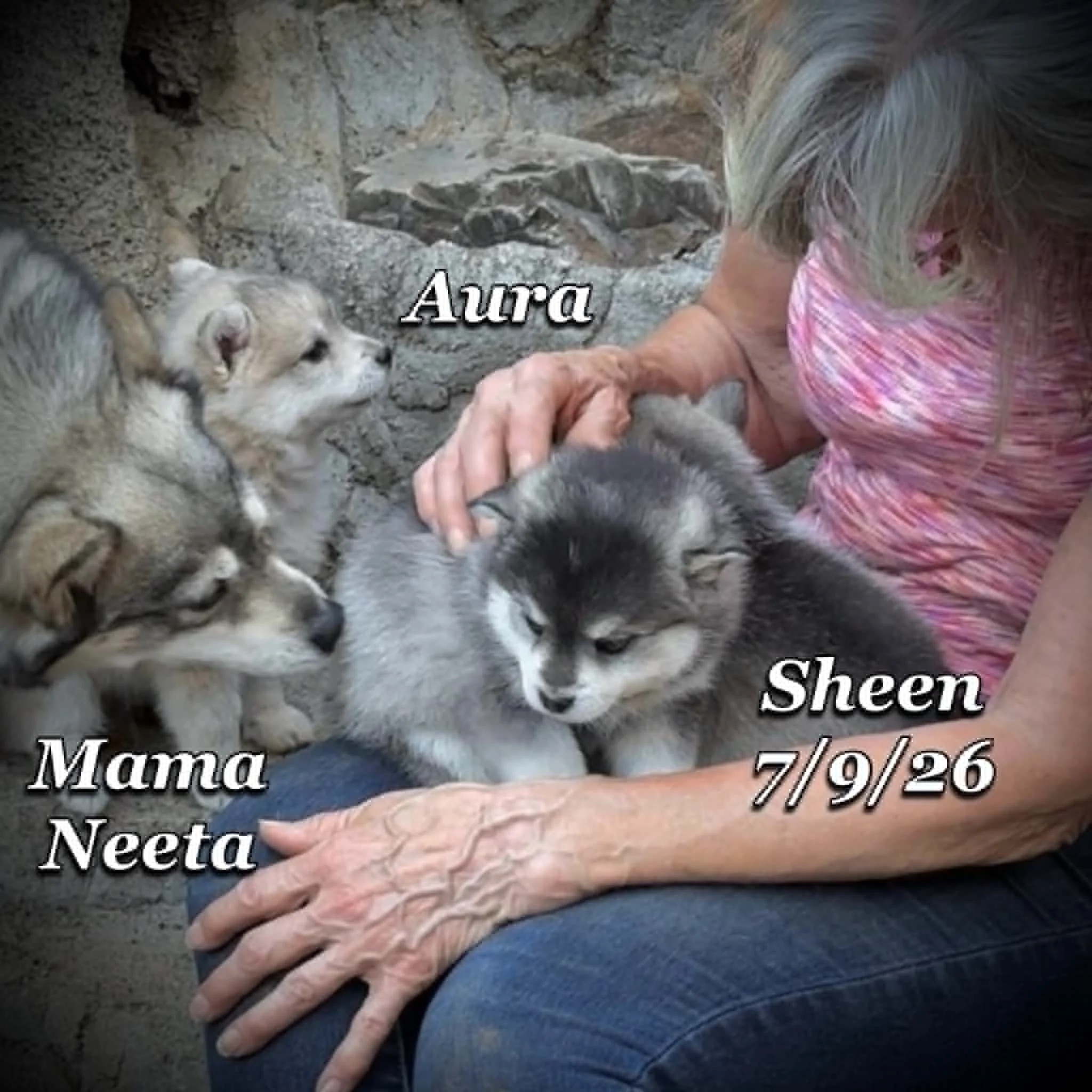 07-09 sheen 1402b1fb-4605-4ef2-ab37-3e2fe45b1e0f.jfif