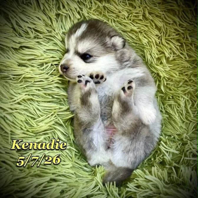 05-07 z kenadie 2c7ecbc1-d2a6-4473-b70a-f569d772cff4.jfif