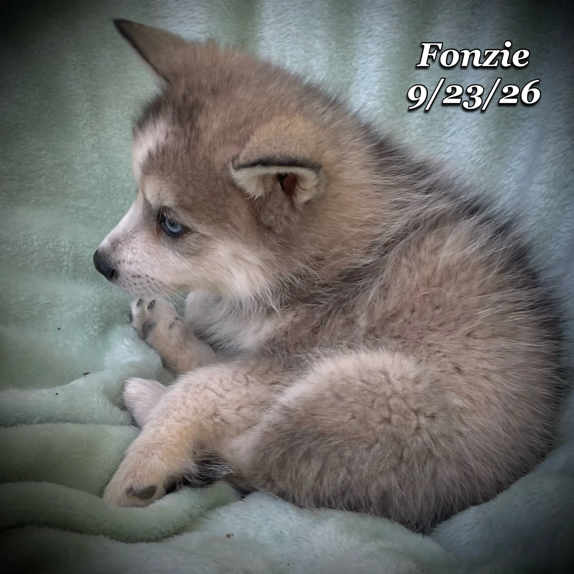 09-23 d fonzie phonto 70.JPG