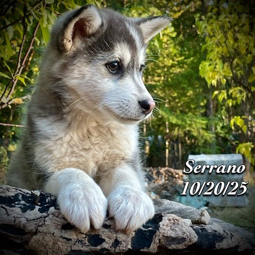 10-20 z serrano phonto 103.JPG