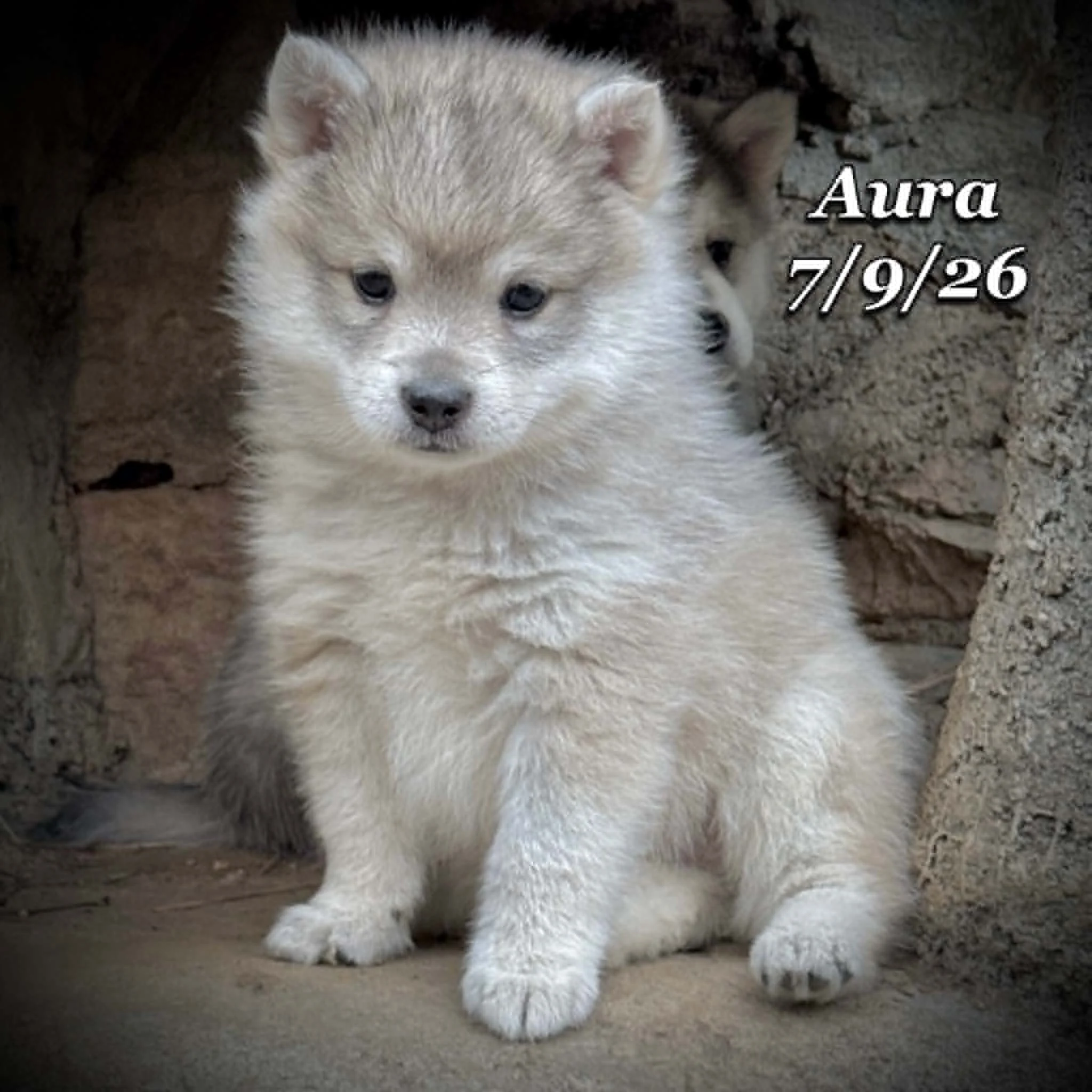 07-09 aura 3ef32b61-84a9-4a1e-8c84-ad529ce2b026.jfif