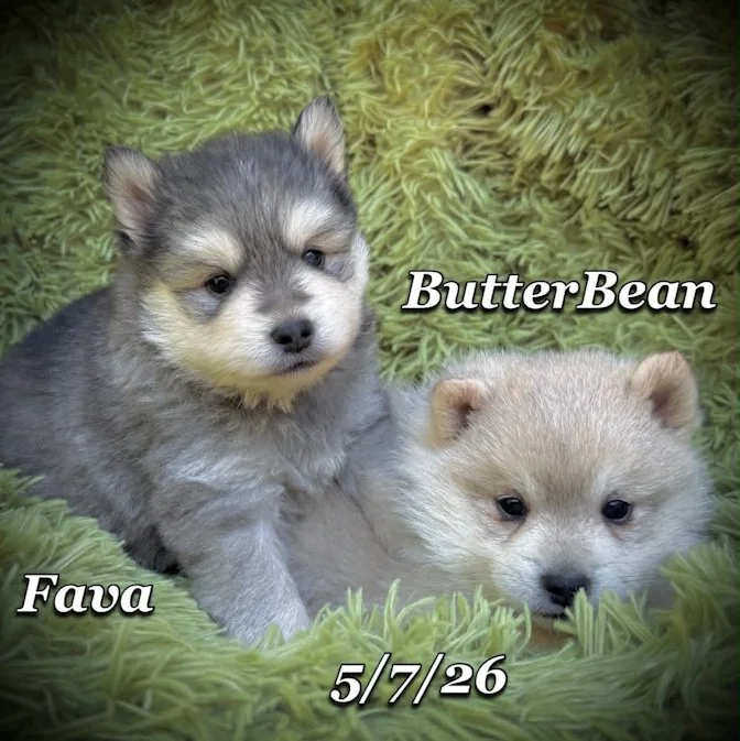 05-07 j butter 09512daa-df5e-4f7f-baea-5d68144bc163.jfif