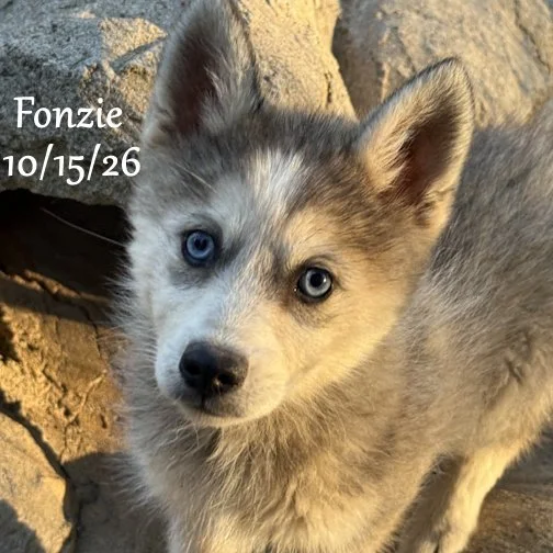 10-15 fonzie 06.jpg