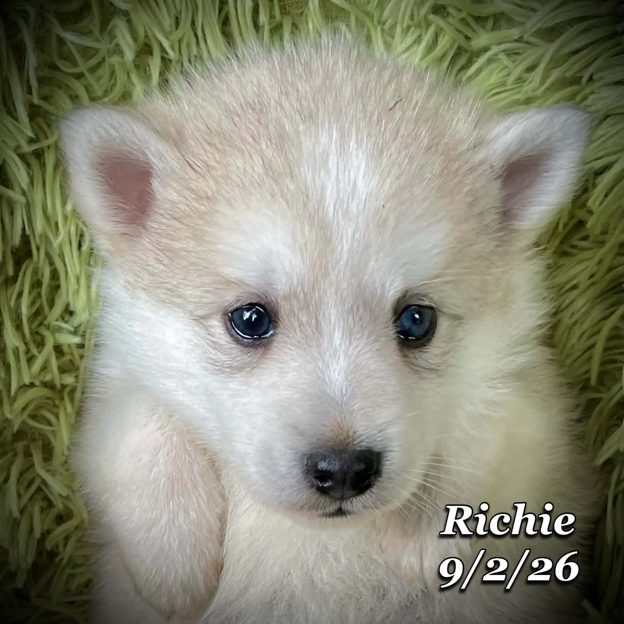 09-02 richie 43dbfaea-d538-4274-9acd-2d231a85a144.jfif