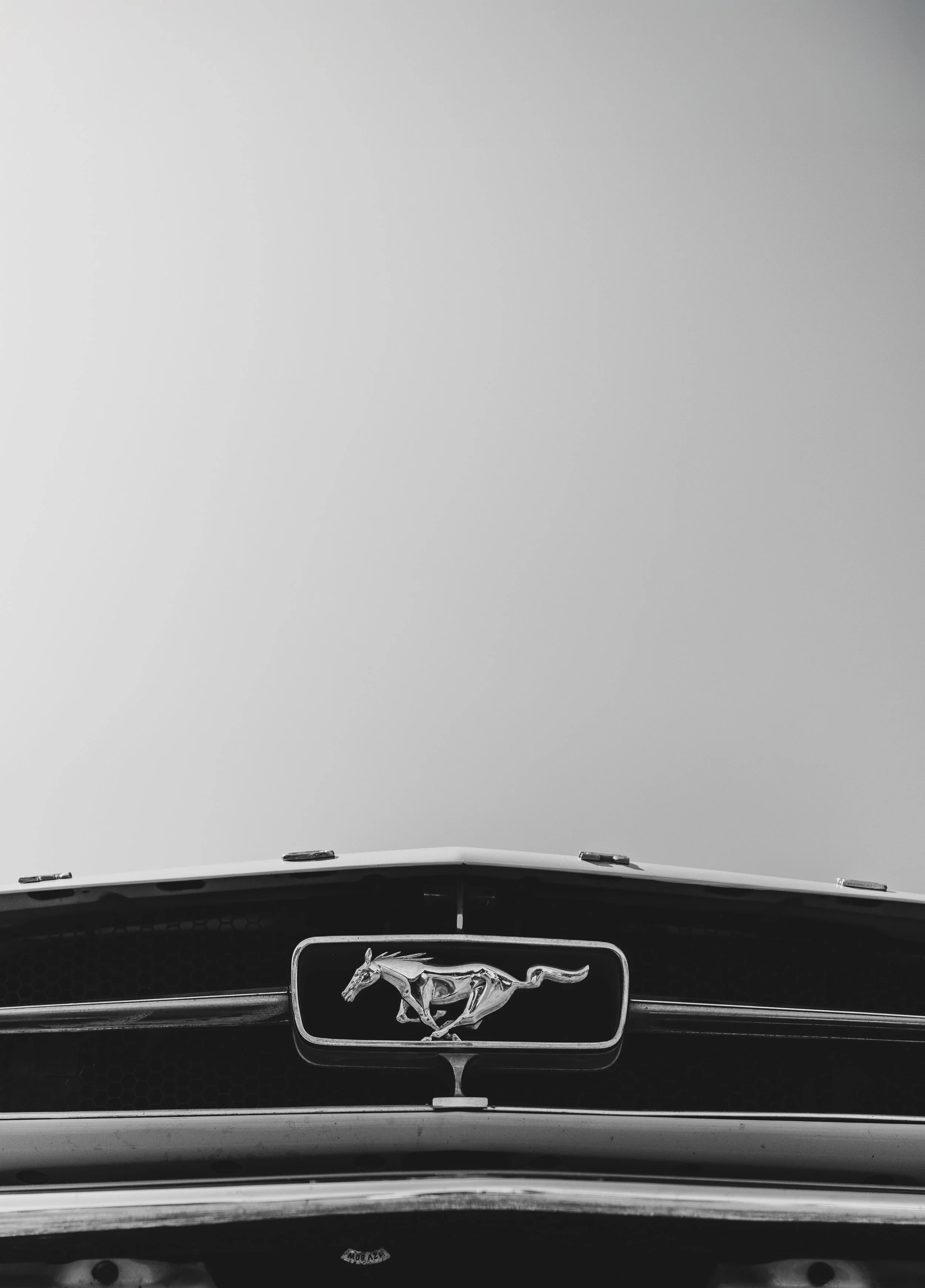 R6IZ8745 extended background.JPG