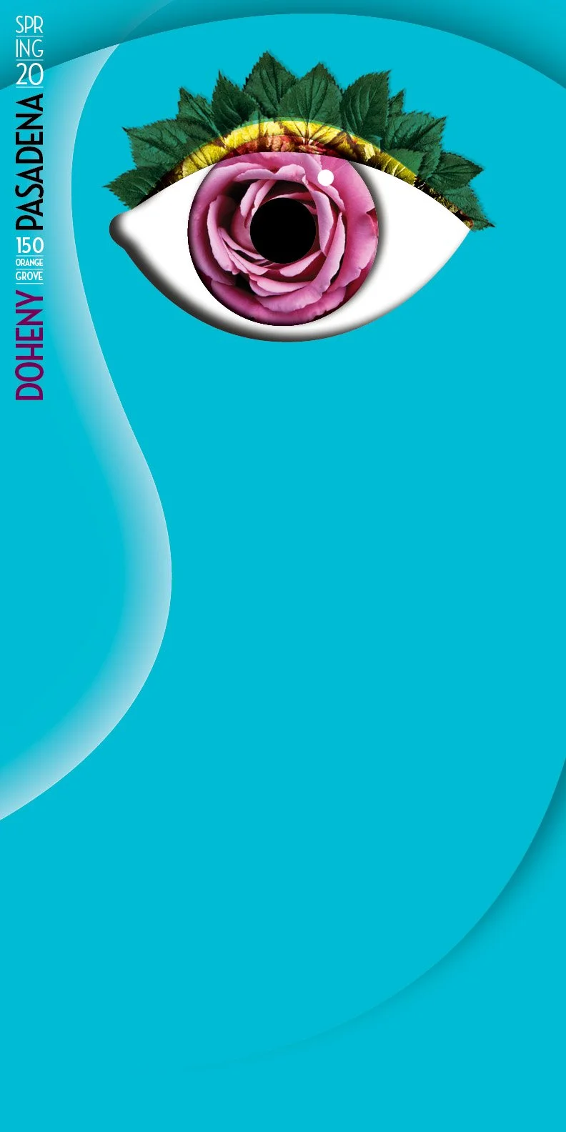 Doheny Eye Institute