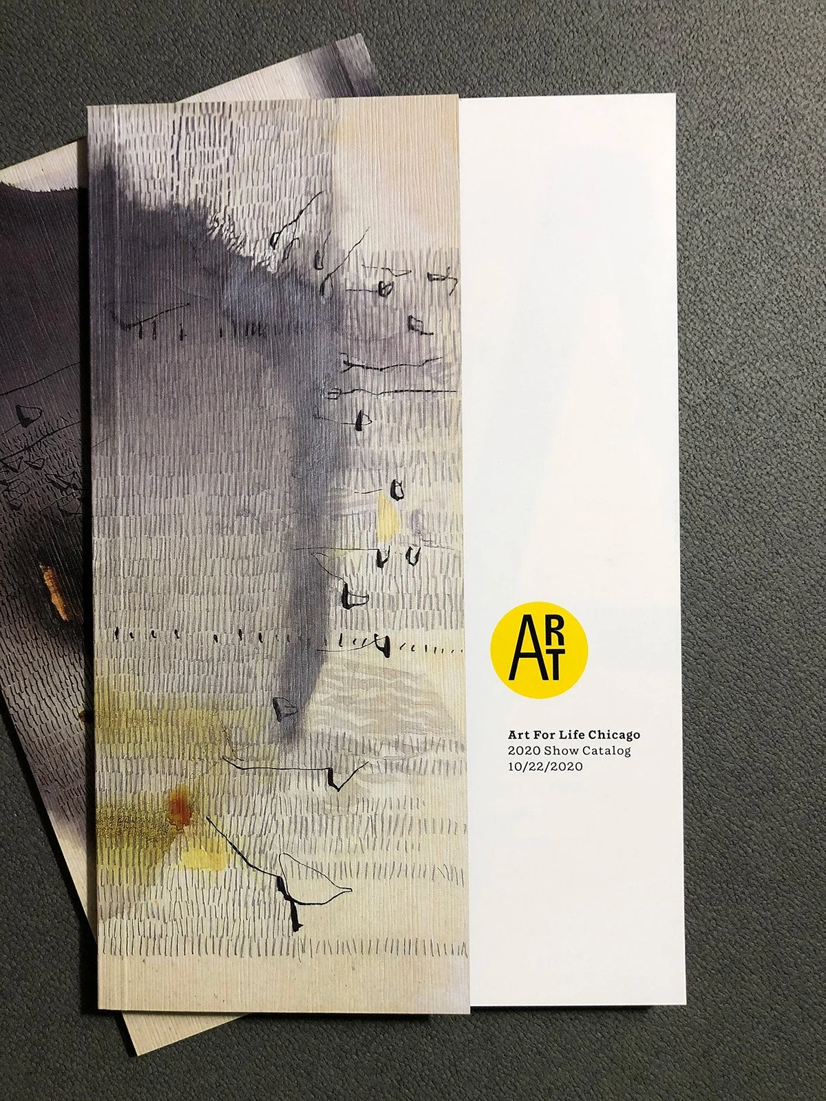 sparc_diffa_aflc_2020_cover.jpg