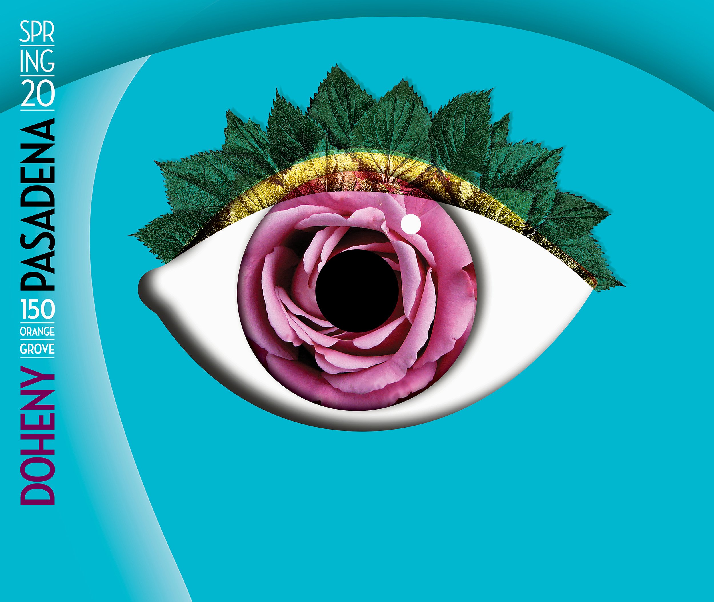 Doheny Eye Institute