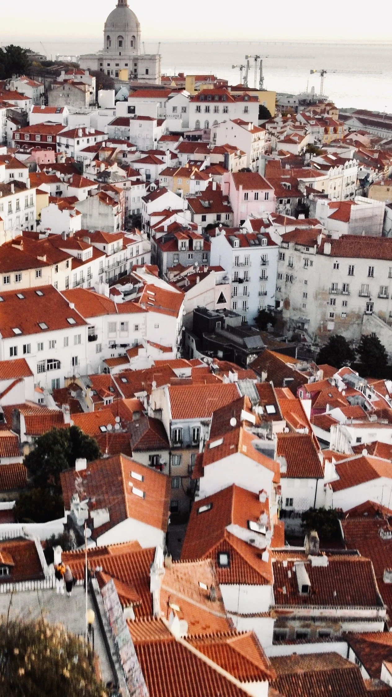 RemoteMediaFile_6553603_0_2022_02_20_07_10_12.jpg