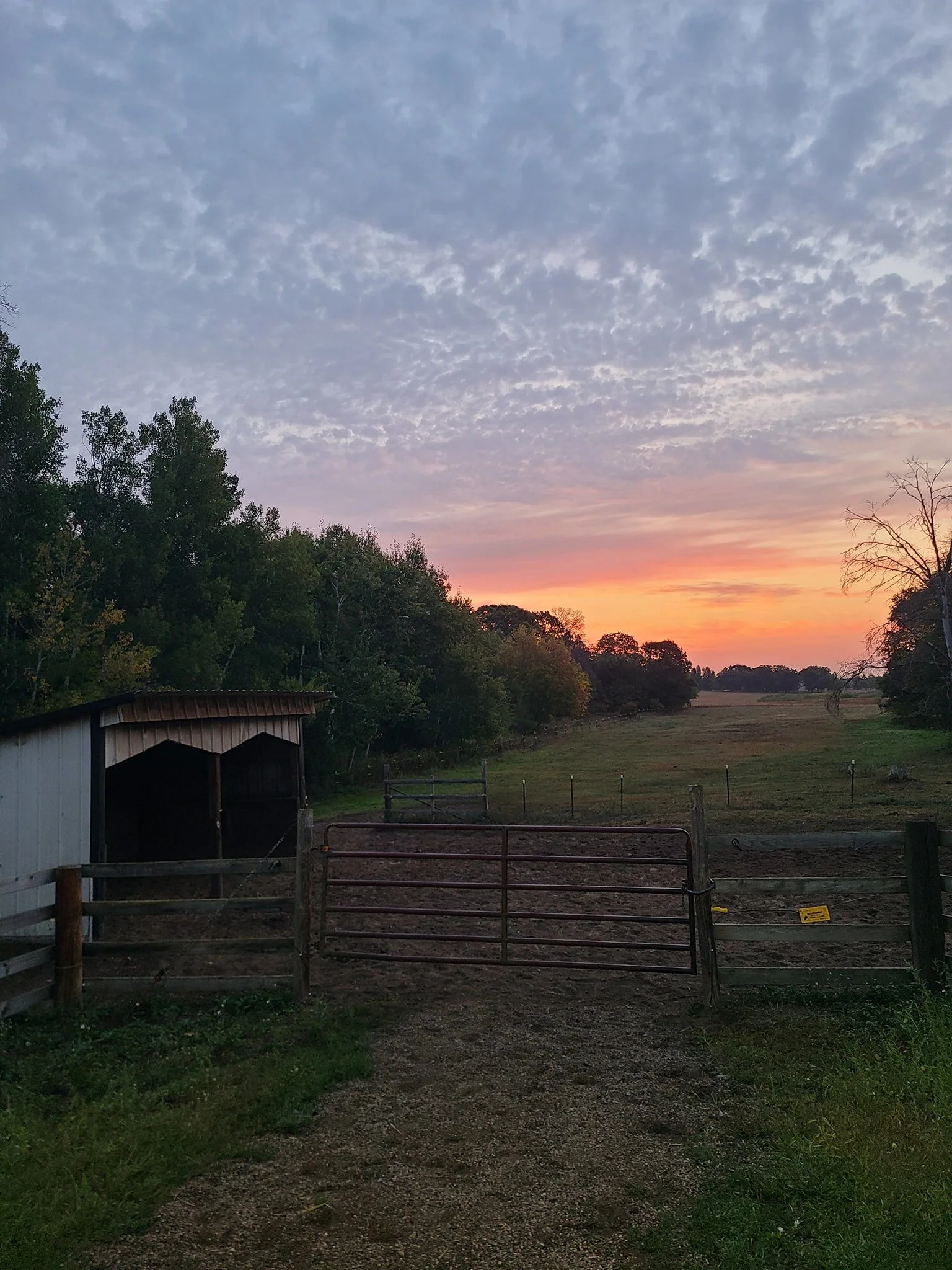 pasture 2.jpg
