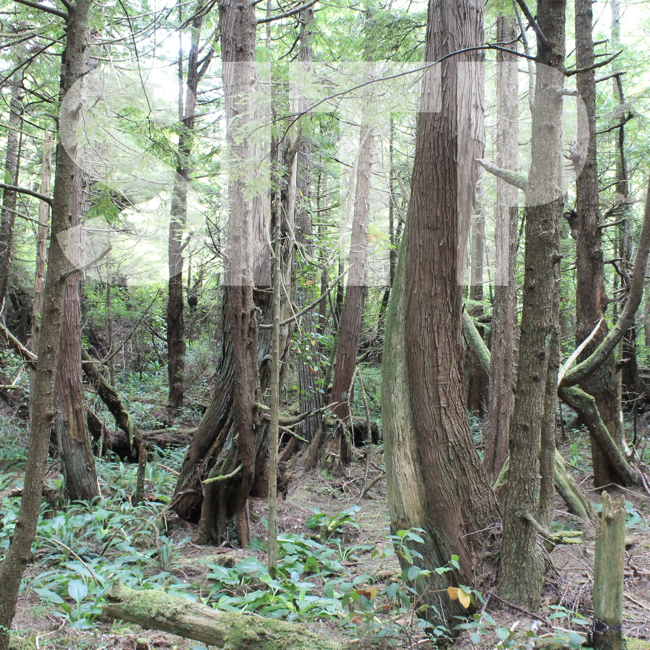 S01E21 - Neah Bay Artwork - W:O titles.jpg