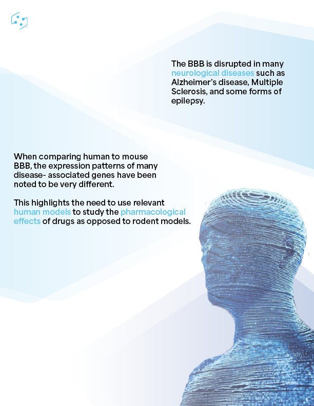 frontier bio 2nd page-01.png