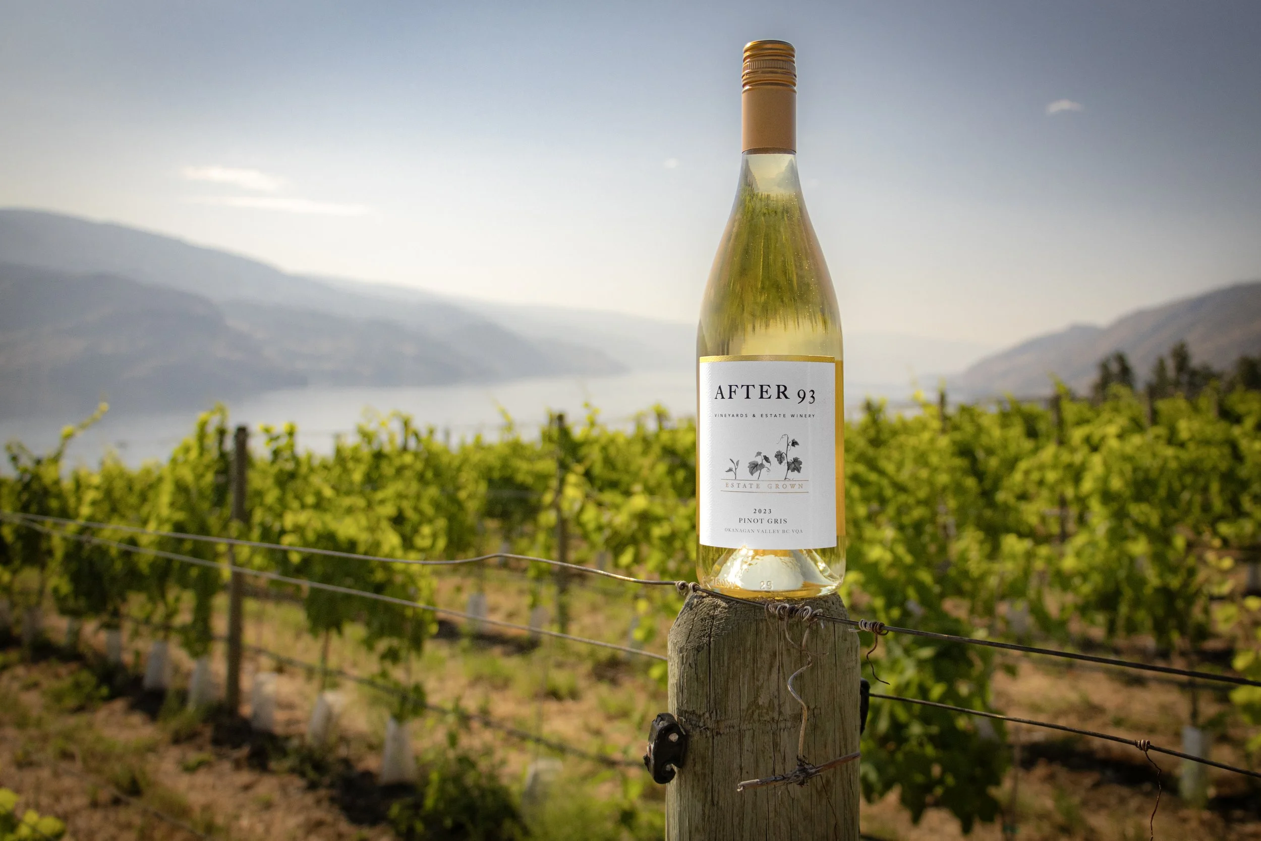 A New Chapter from the Family of Bordertown Vineyards &amp; Estate Winery