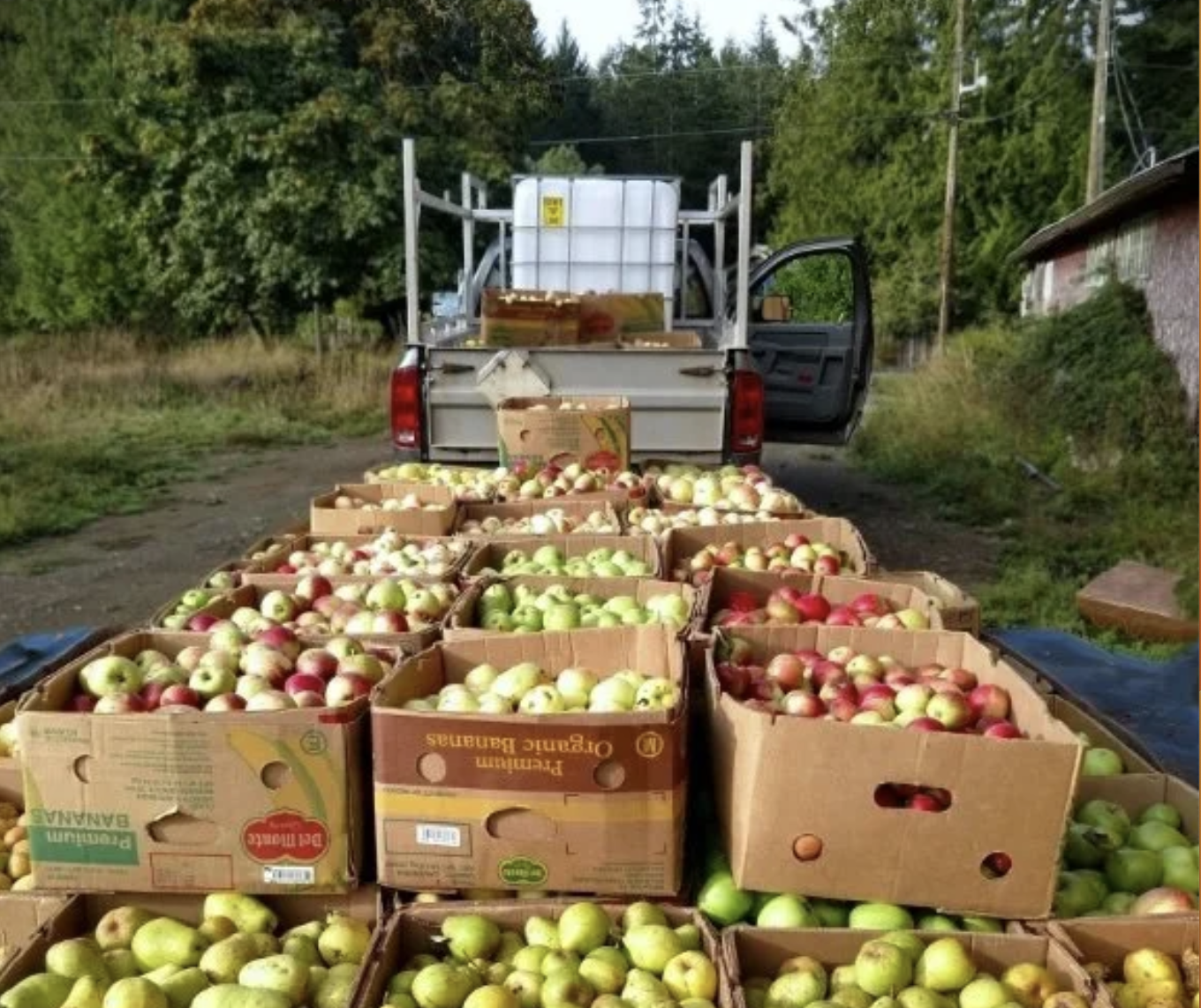 Crooked Warden Cider