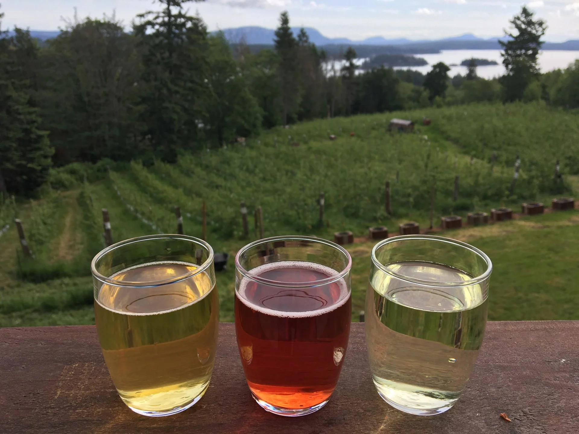 Ciderworks &amp; Salt Spring Apple Company