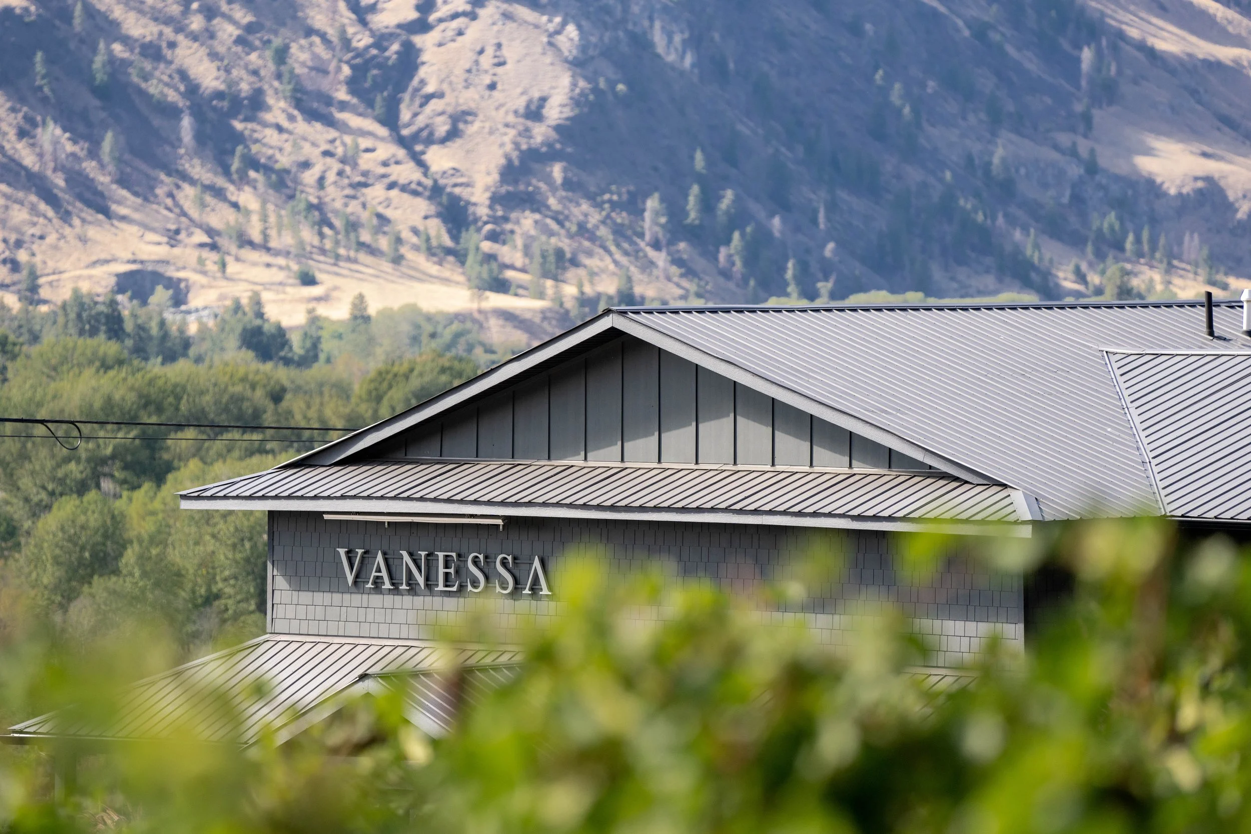 Vanessa Vineyards