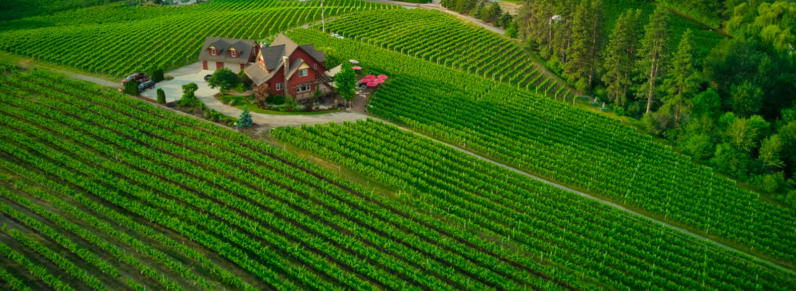 Release Party at River Stone