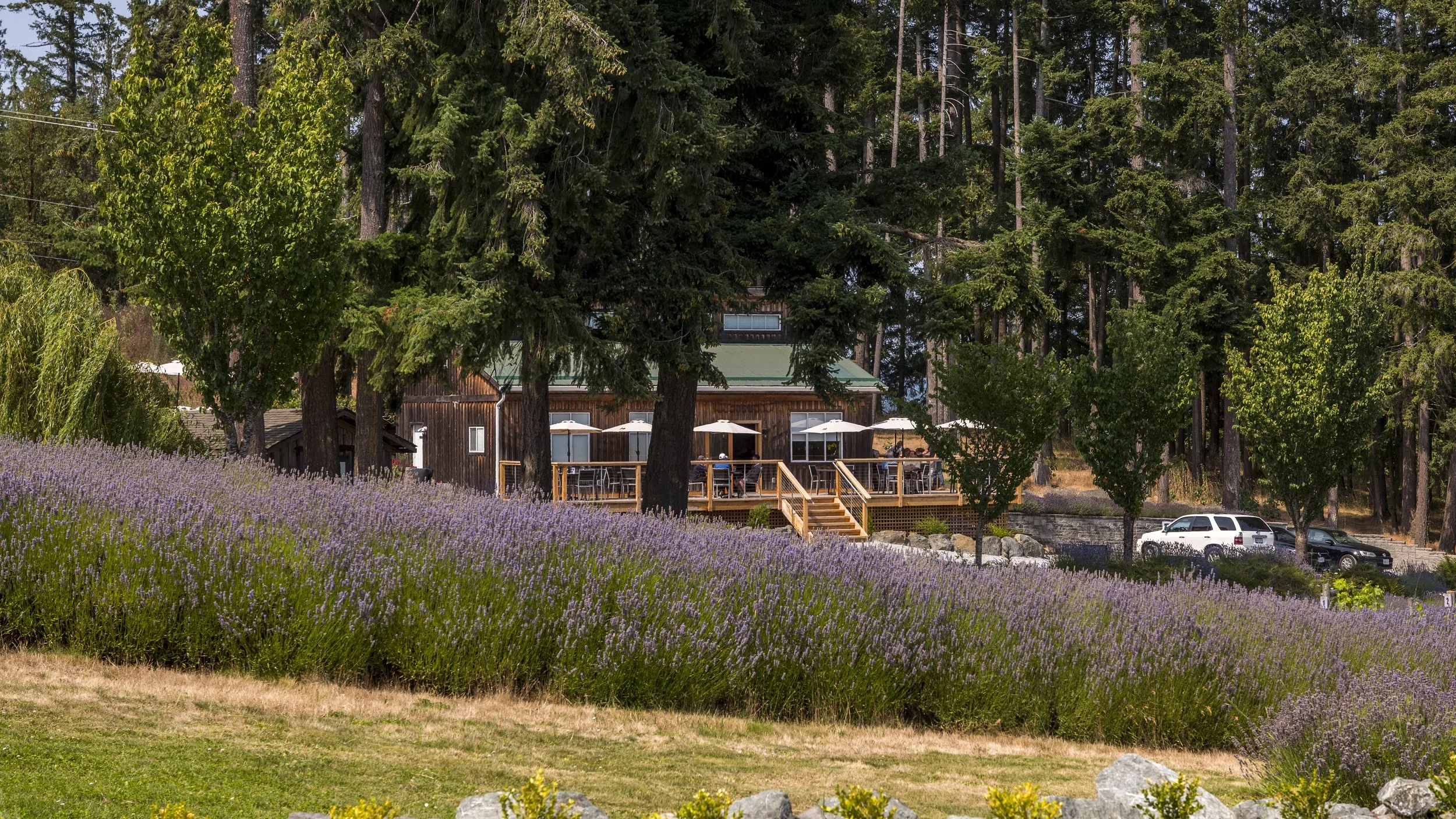 Cobble Hill Winery-Printable-10 (1).jpg