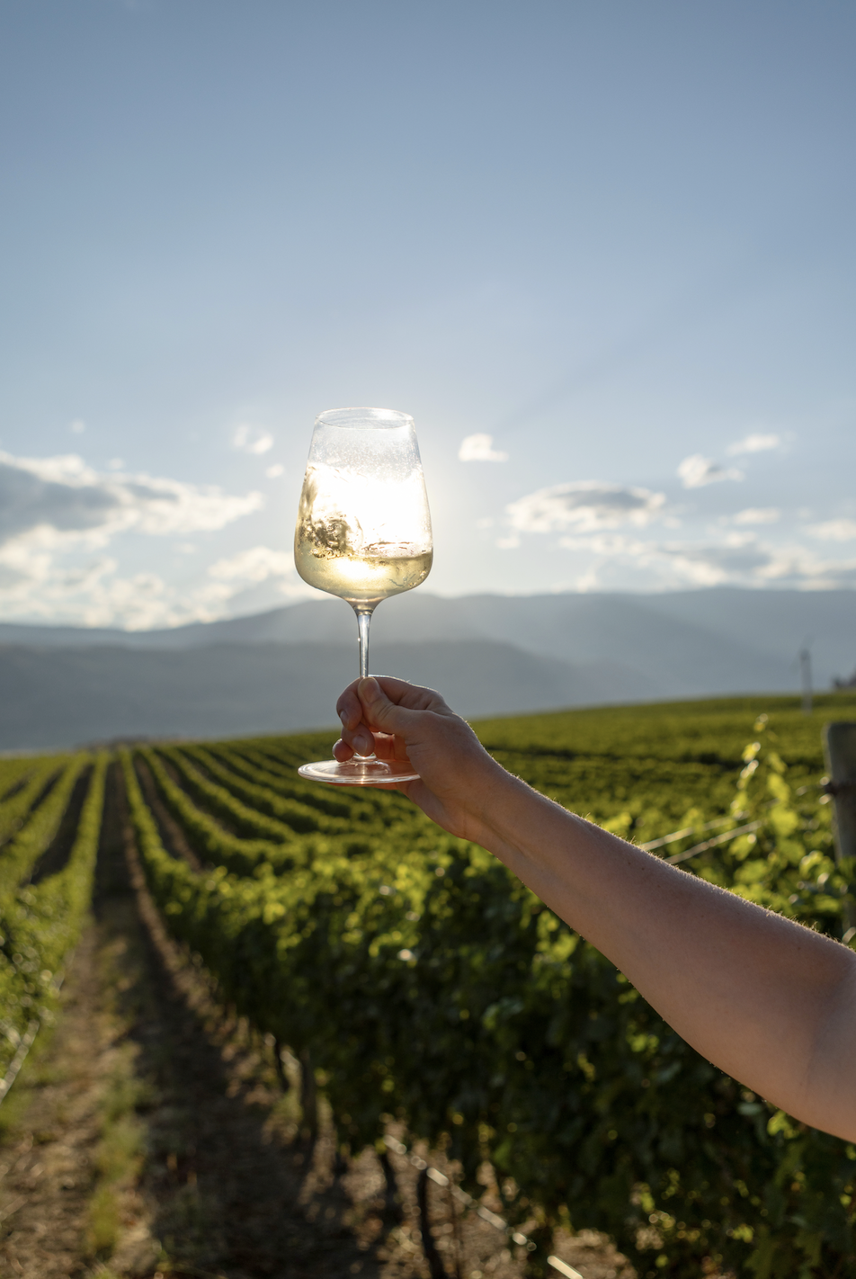 Sip Into Sauvignon Blanc Day with the Best of BC Wine