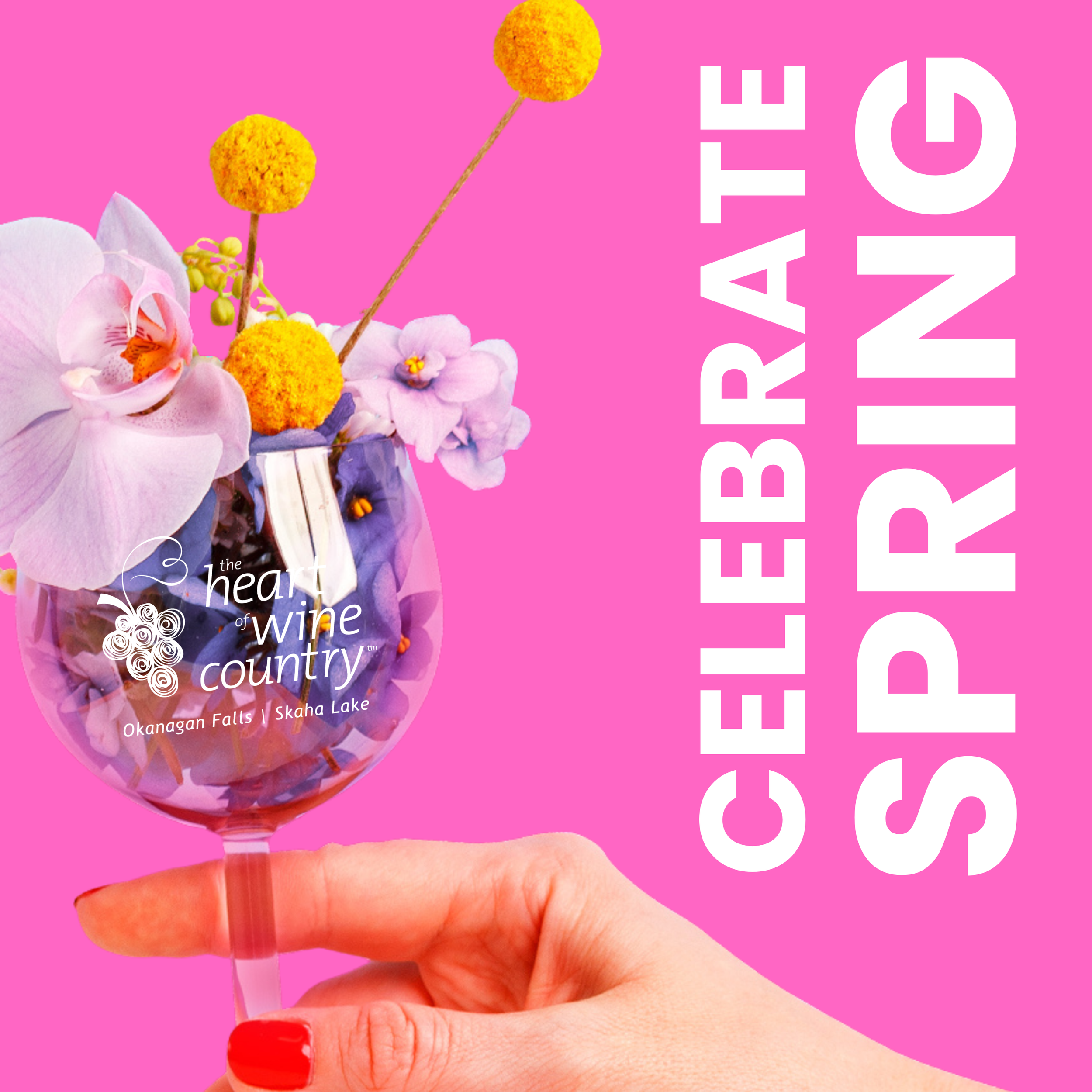 Celebrate Spring in the Heart of Wine Country