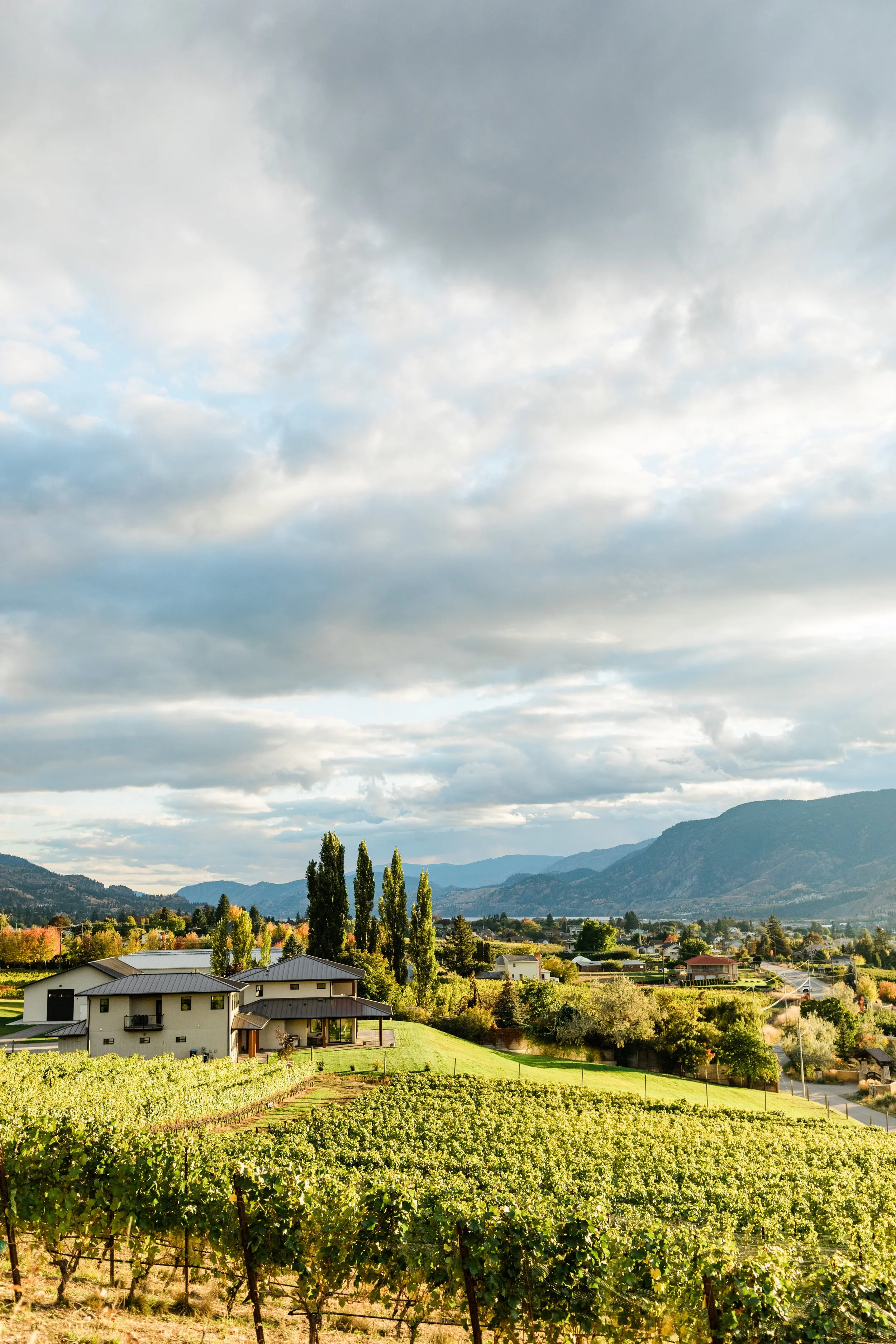 Crisp, Bright &amp; Refreshing: Happy Pinot Gris Day