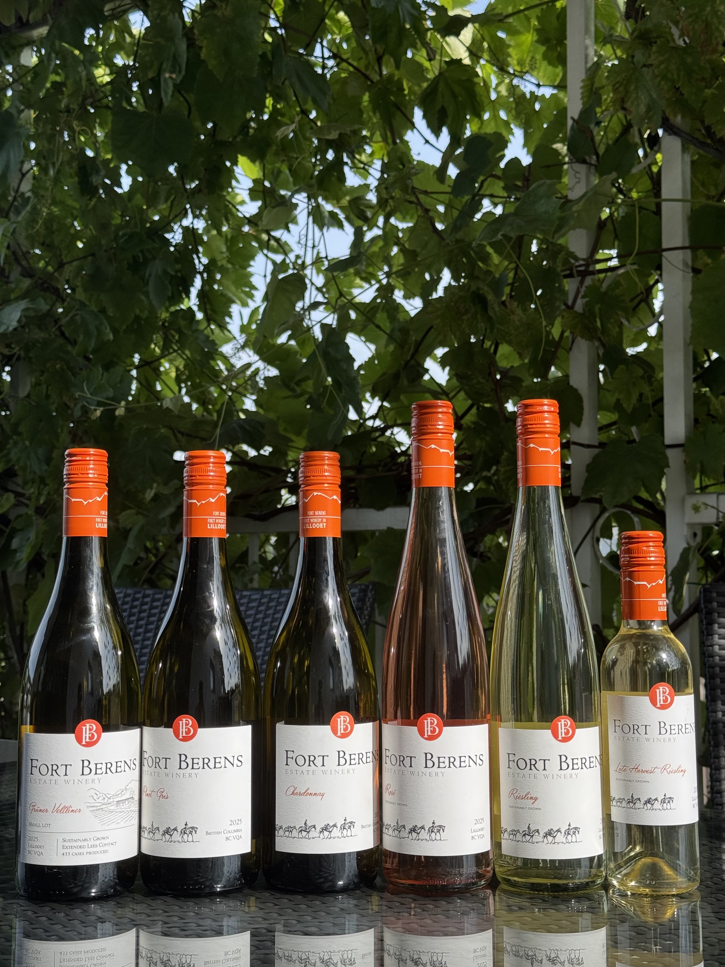 Fort Berens Estate Winery: Where Mountain Views Meet Exceptional Wine