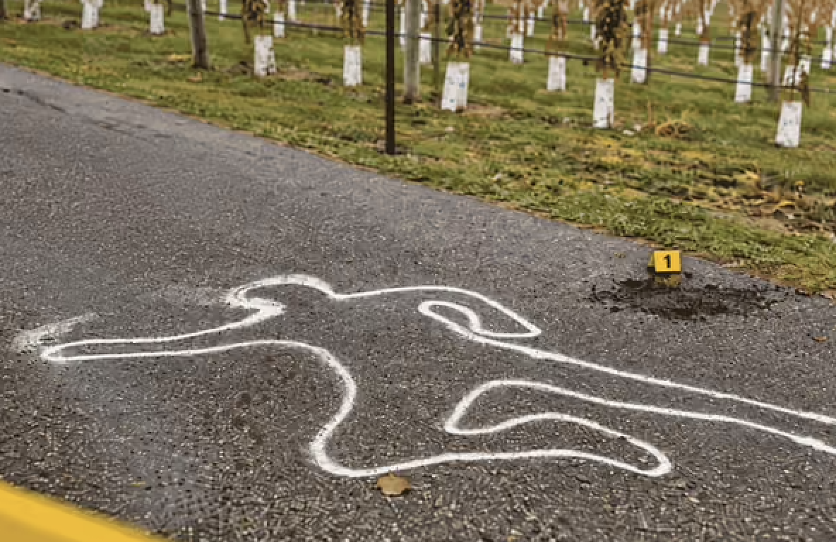 Murder in the Vineyard!
