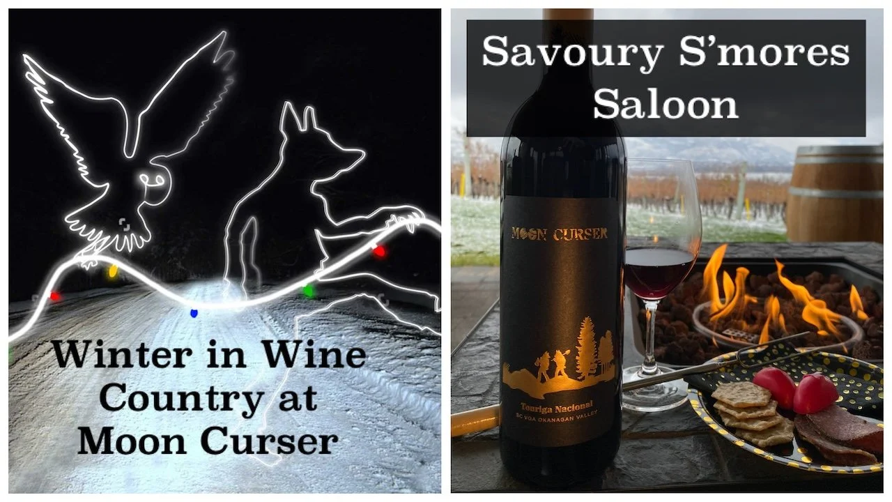 Winter in Wine Country