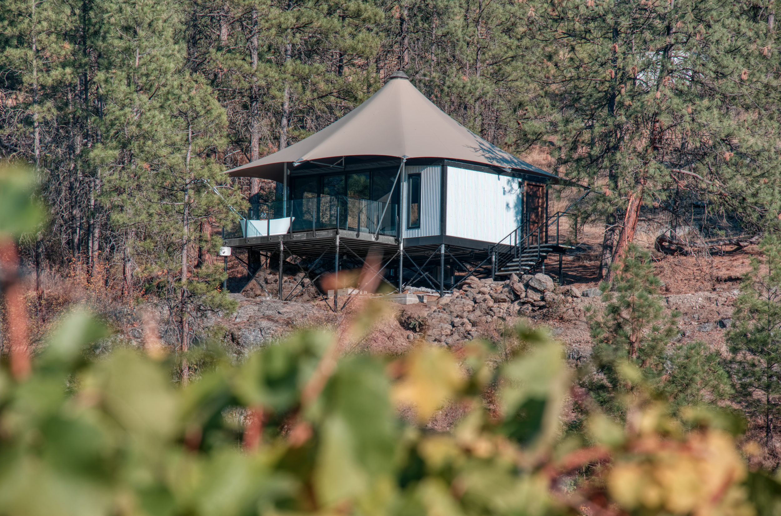 Screenshot 2024-01-11 at 2.26.21 PM.png